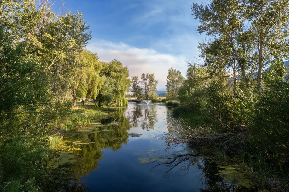 Beaver Creek and the pond