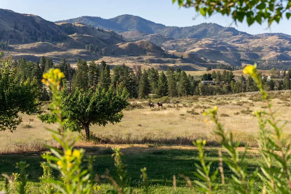 Methow hills