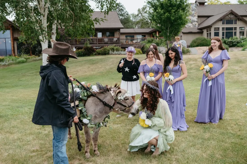 Bridal party meets the ranch donkeys