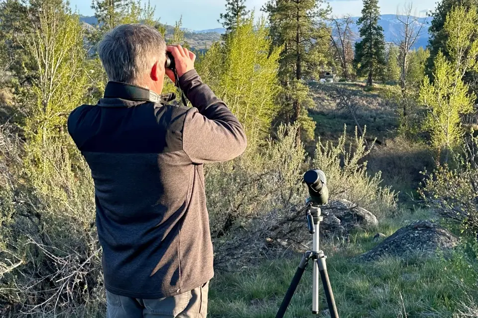 Wildlife viewing