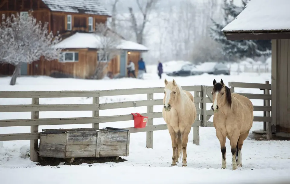 Winter Stay & Play (sample special)