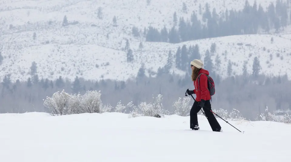 Snowshoeing
